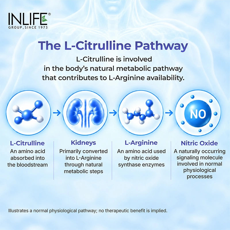 Inlife Citrulline Malate Powder 2:1 Supplement