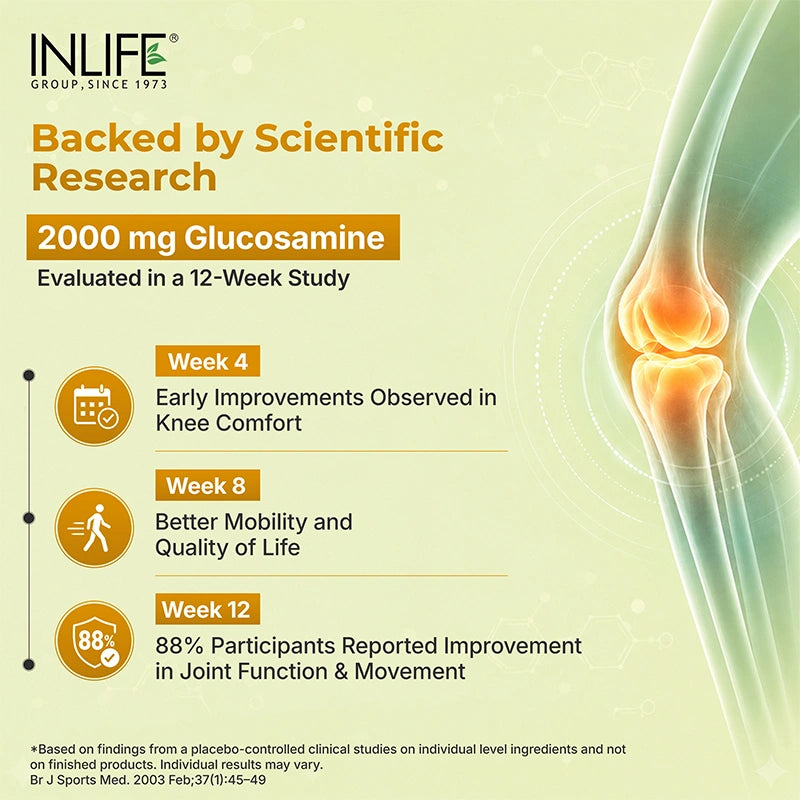 Inlife Glucosamine Chondroitin MSM Tablets