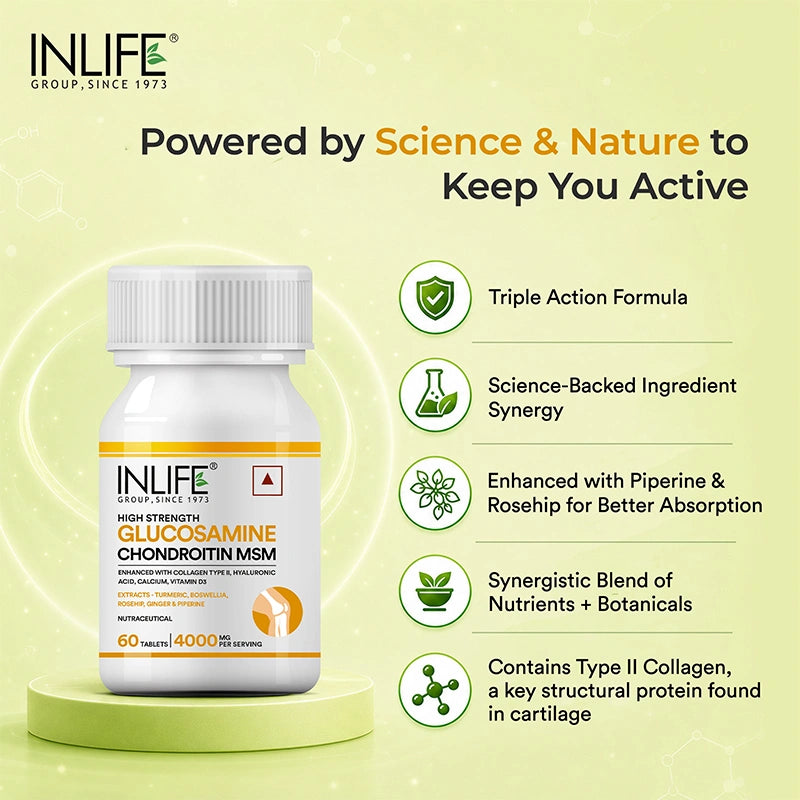 Inlife Glucosamine Chondroitin MSM Tablets