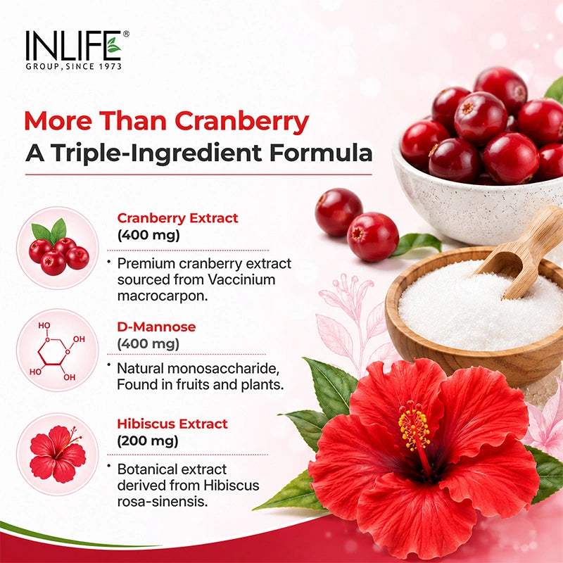 Inlife Cranberry Capsules Key Ingredients. image