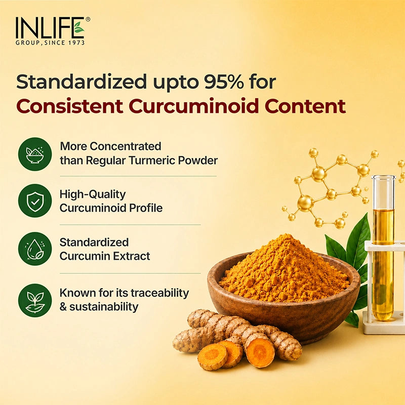 Inlife Curcumin 95 Advanced Curcumin Key Features Image