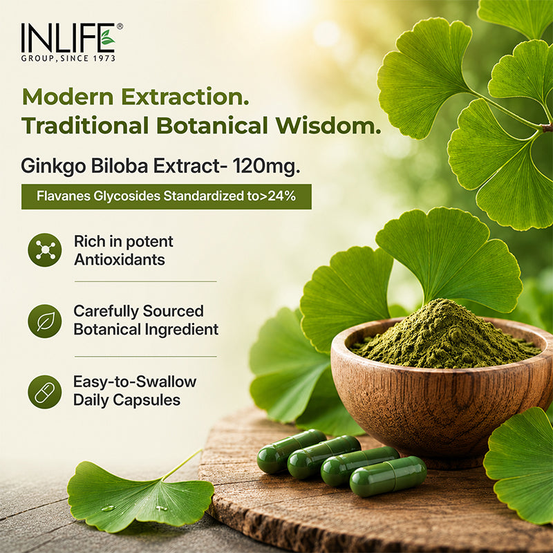 Inlife Ginkgo Biloba Key Ingredients Image