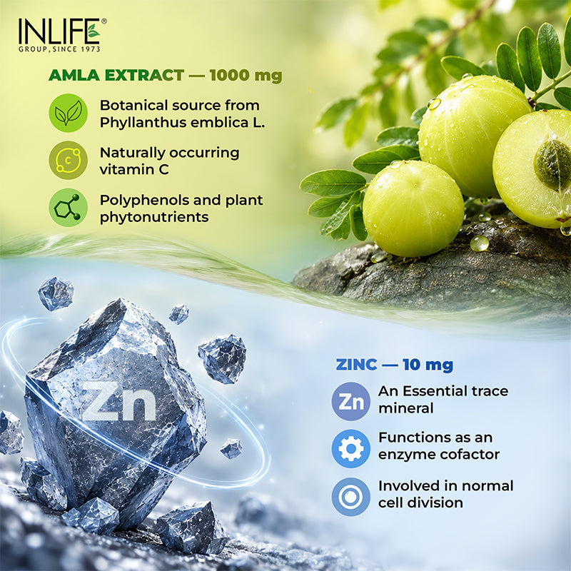 Inlife Natural vitamin-c + zinc ingredients .image