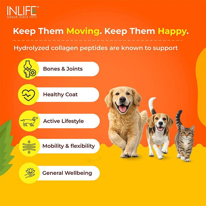Inlife Pets collagen benefits .image