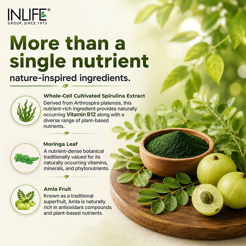 Inlife plant based vitamin b12 Key ingredients. Image