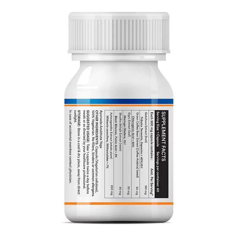 Inlife Energy Booster Supplement | 500mg | Veg. Capsules