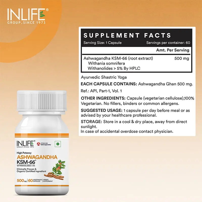 Inlife Magnesium Glycinate with Zinc Capsules + Inlife KSM-66 Ashwagandha with Withanolides > 5%, Veg. Capsules