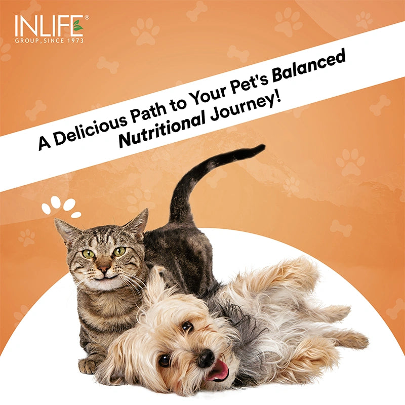 Inlife Nutritional Meal Mix Powder for Dogs, Cats, Pets | Advanced Multi-Nutrient Formula
