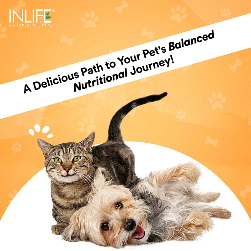 Inlife Nutritional Meal Mix Powder for Dogs, Cats, Pets | Advanced Multi-Nutrient Formula