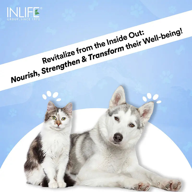Inlife Hydrolyzed Type 1 & 3 Collagen Peptides Supplement for Pets | Available in 3 flavors: