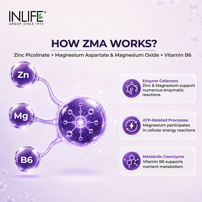 Inlife ZMA Triple Strength Zinc Magnesium and Vitamin B6 Supplement, Veg. Tablets