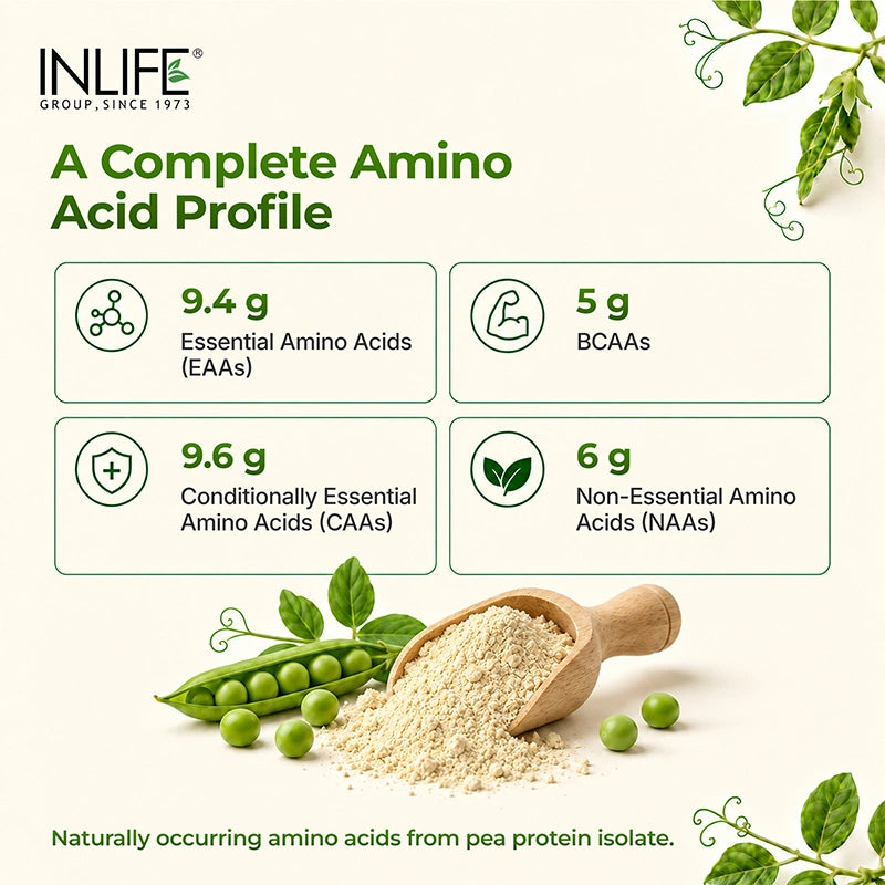 Inlife Pea Protein Isolate