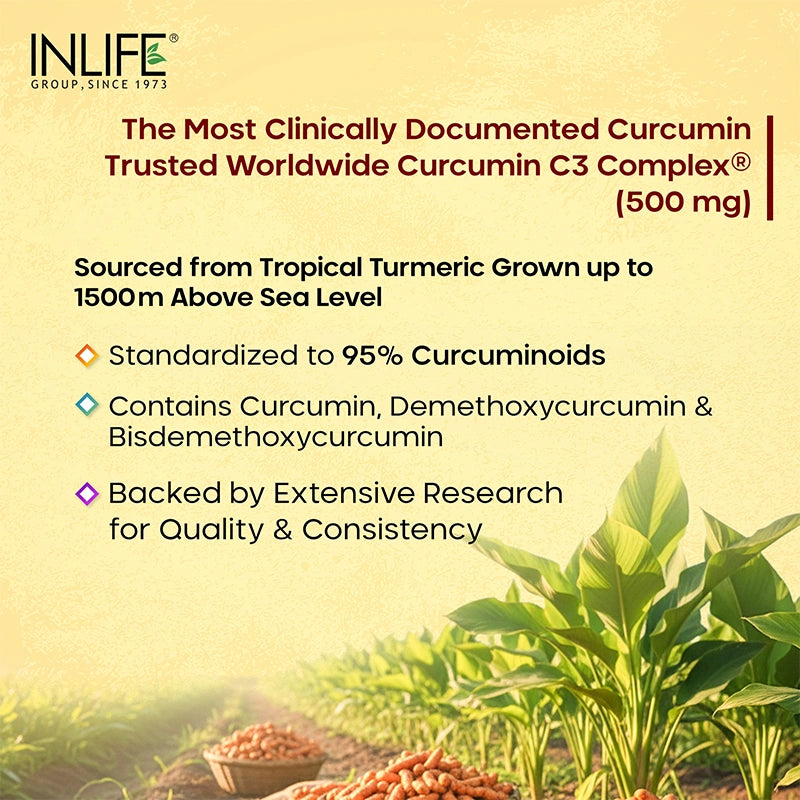 Inlife Curcumin (95% Curcuminoids) with Piperine (Bioperine), 500 mg | Veg. Capsules