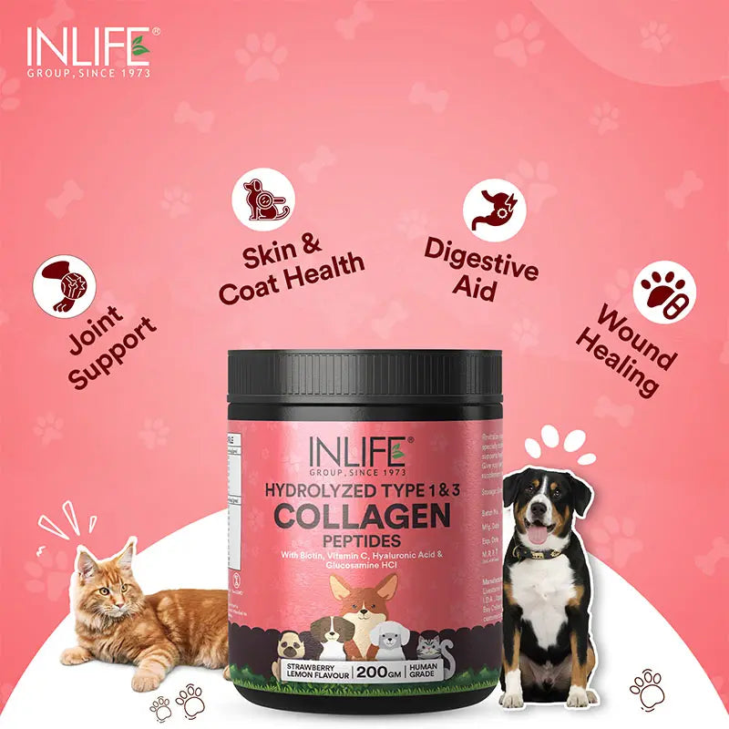 Inlife Hydrolyzed Type 1 & 3 Collagen Peptides Supplement for Pets | Available in 3 flavors: