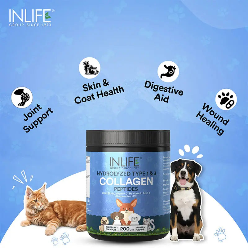 Inlife Hydrolyzed Type 1 & 3 Collagen Peptides Supplement for Pets | Available in 3 flavors: