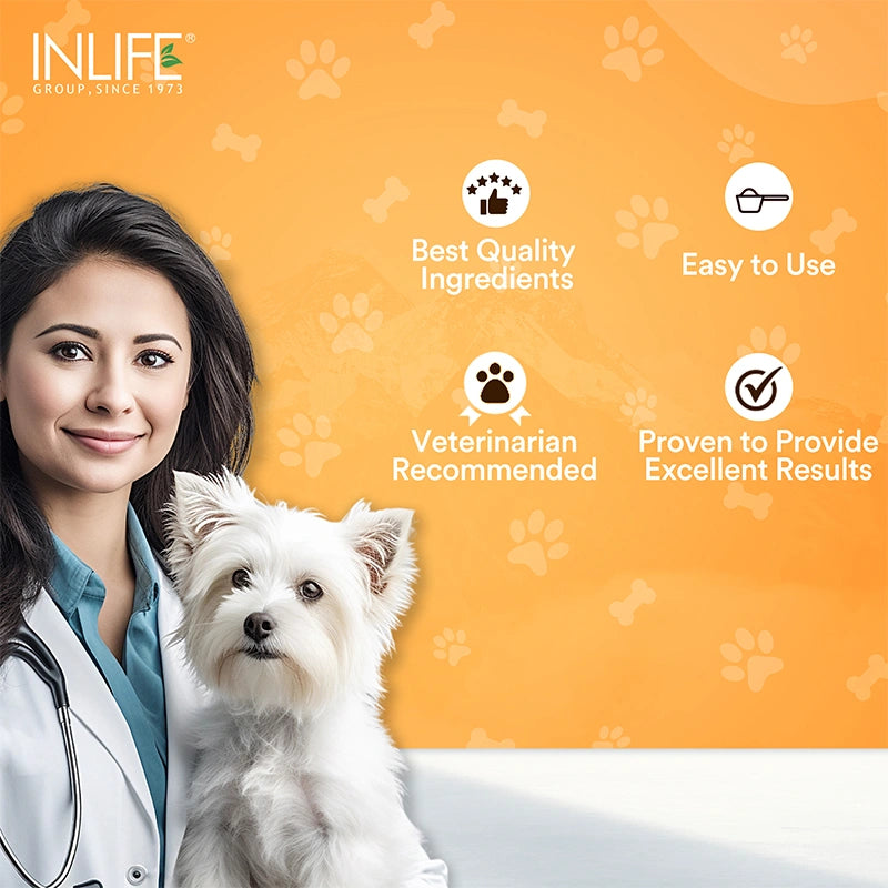 Inlife Nutritional Meal Mix Powder for Dogs, Cats, Pets | Advanced Multi-Nutrient Formula