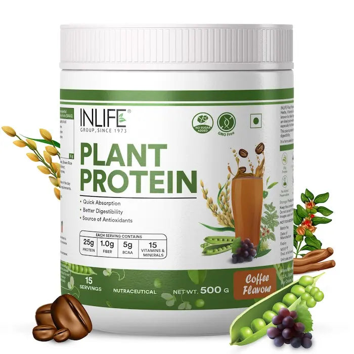 Inlife Plant Based Protein Powder Supplement | 25gms Protein