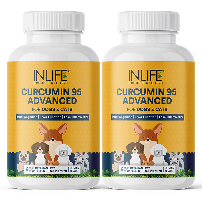 Inlife Curcumin with Piperine for Dogs Cats Pets | 95% Curcuminoids | Veg. Capsules