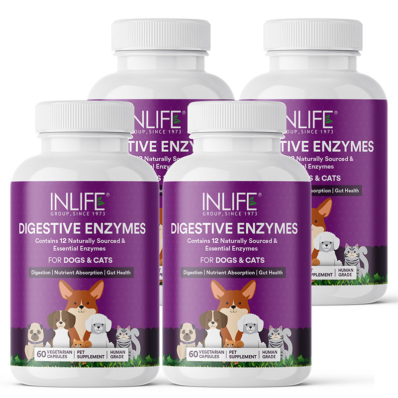 Inlife Digestive Enzymes for Dogs Cats | 12 Naturally Sourced & Essential Enzymes | Veg. Capsules