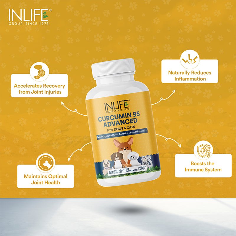 INLIFE Curcumin with Piperine for Dogs Cats Pets | 95% Curcuminoids for Immunity, Ease Inflammation - 60 Vegetarian Capsules - Inlife Pharma Private Limited