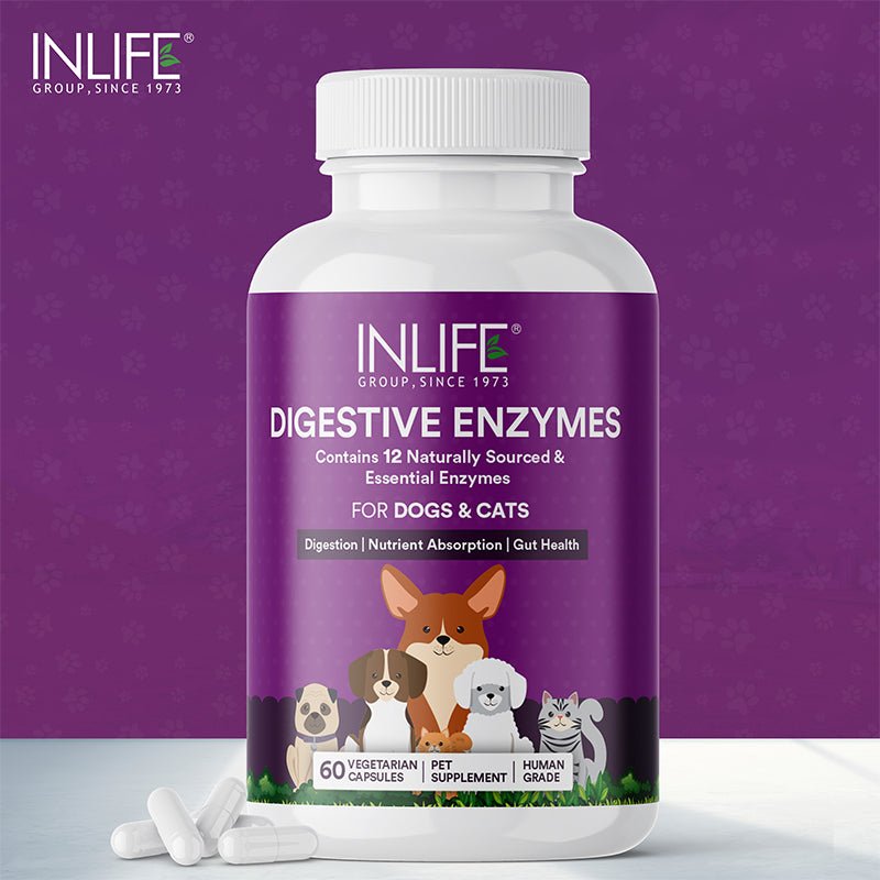 Inlife Digestive Enzymes for Dogs Cats | 12 Naturally Sourced & Essential Enzymes | Healthy Digestion, Immunity - 60 Veg. Capsules - Inlife Pharma Private Limited