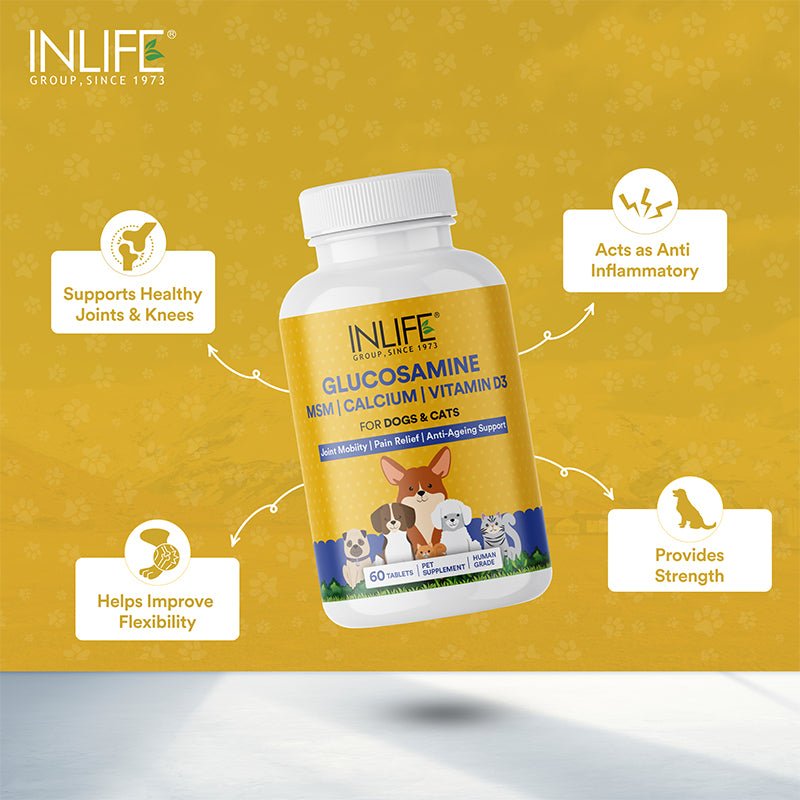 INLIFE Glucosamine Tablets for Dogs & Cats | With MSM Calcium & Vitamin D3 | Cartilage, Joints, Bone Health Supplement - 60 Tablets - Inlife Pharma Private Limited