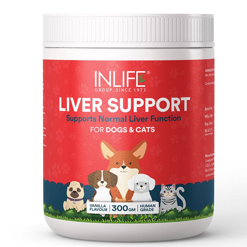 INLIFE Liver Detox Supplement for Dogs Cats Pets | Liver Support Powder with Whey Protein, MCT, L-Carnitine, L-Taurine & BCAAs, 300g (Vanilla) - Inlife Pharma Private Limited