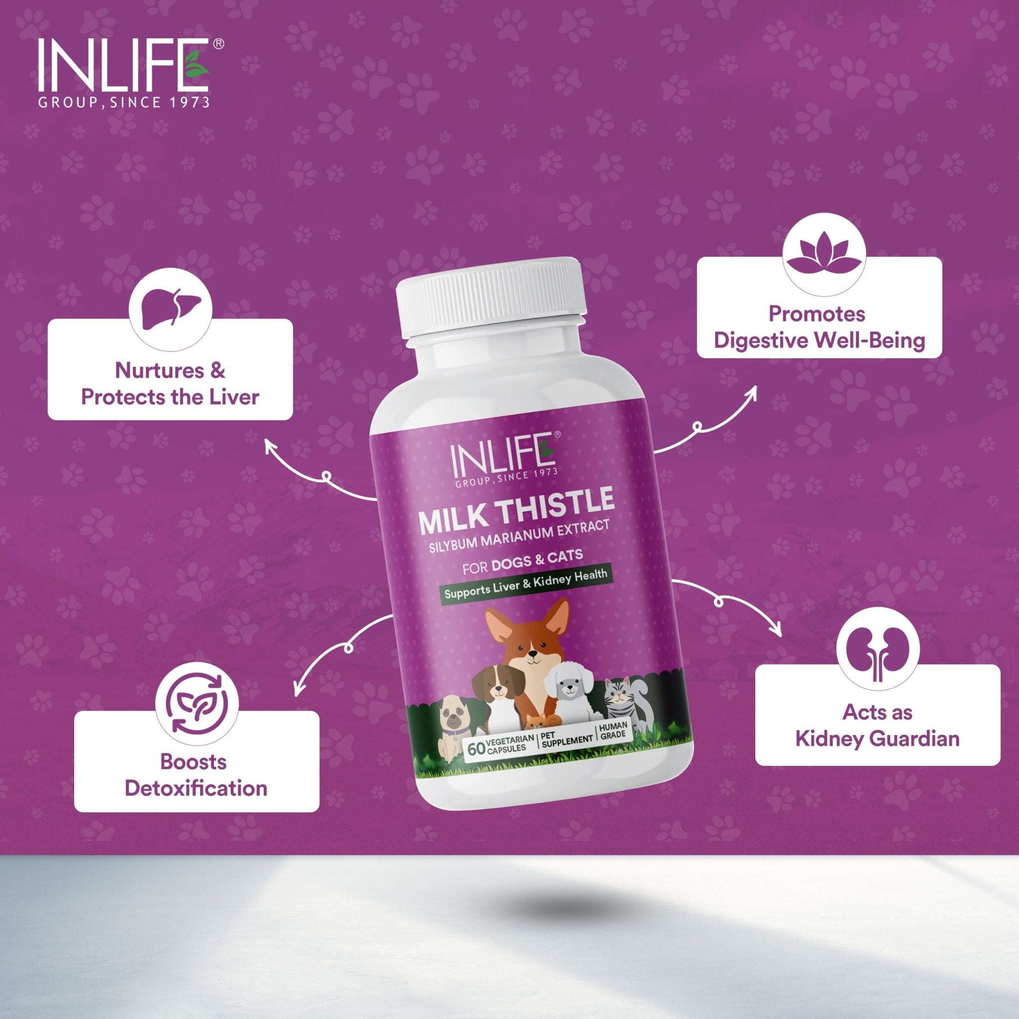 INLIFE Milk Thistle Capsules for Dogs & Cats | Liver Detox Supplement & Kidney Health, 400mg - 60 Vegetarian Capsules - Inlife Pharma Private Limited