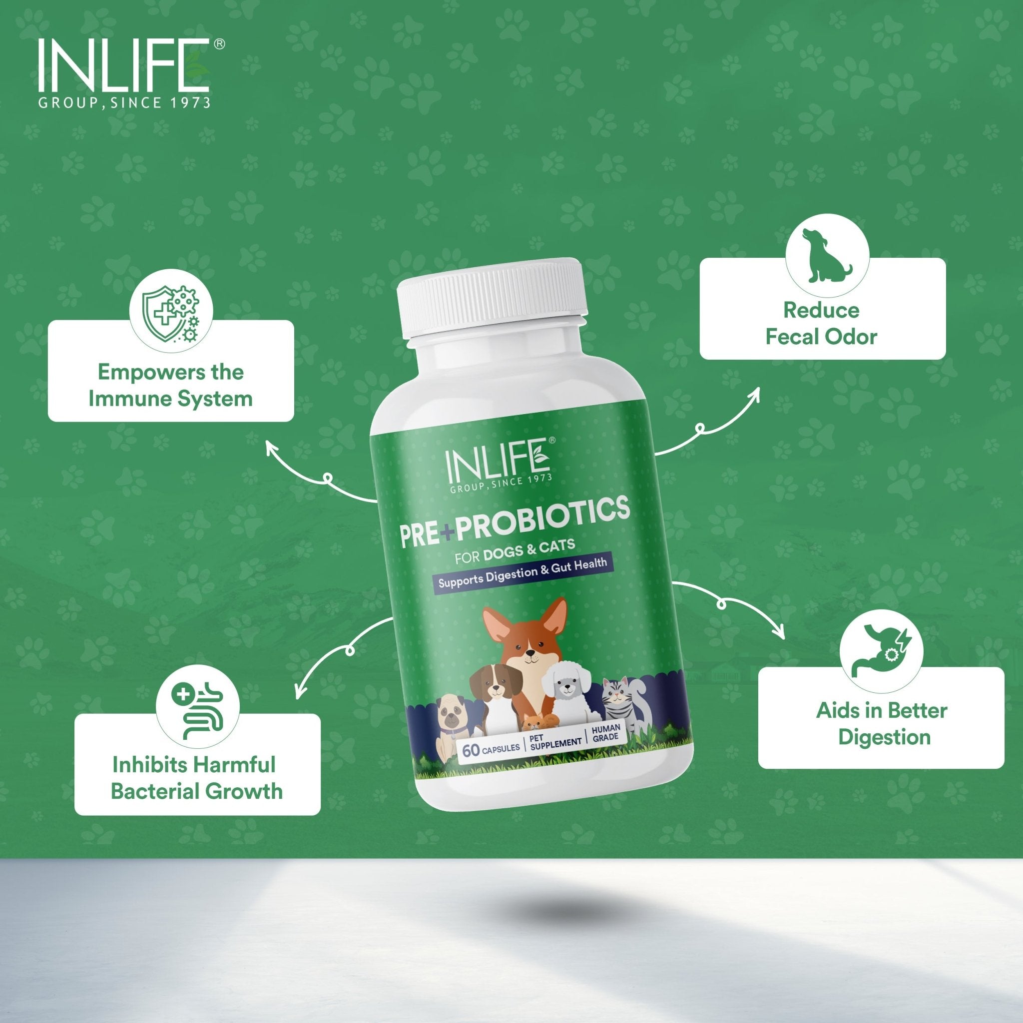 INLIFE Prebiotics & Probiotics for Dogs Cats Pets | Supplements for Gut Health | Lactobacillus Bacteria for Digestive Health | Immunity - 60 Capsules - Inlife Pharma Private Limited