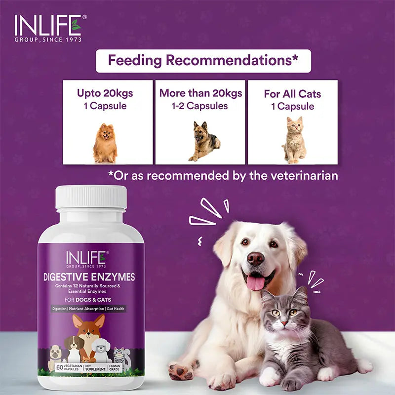 Inlife Digestive Enzymes for Dogs Cats | 12 Naturally Sourced & Essential Enzymes | 60 Veg. Capsules