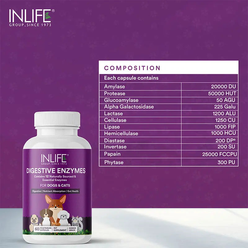 Inlife Digestive Enzymes for Dogs Cats | 12 Naturally Sourced & Essential Enzymes | 60 Veg. Capsules