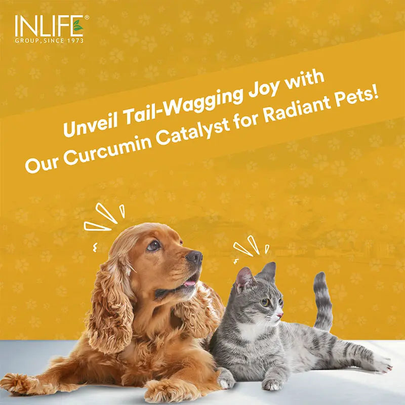 Inlife Curcumin with Piperine for Dogs Cats Pets | 95% Curcuminoids for Immunity, Ease Inflammation - 60 Veg. Capsules