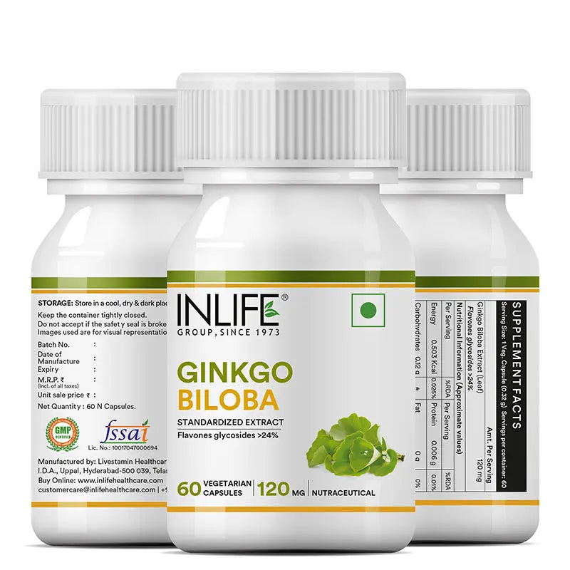 Inlife Ginkgo Biloba Supplement, 120mg - 60 Veg. Capsules