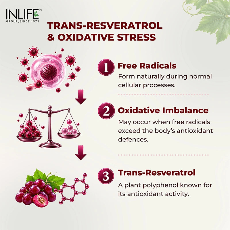 Inlife Natural Trans Resveratrol from Japanese Knotweed, Vegetarian Capsules