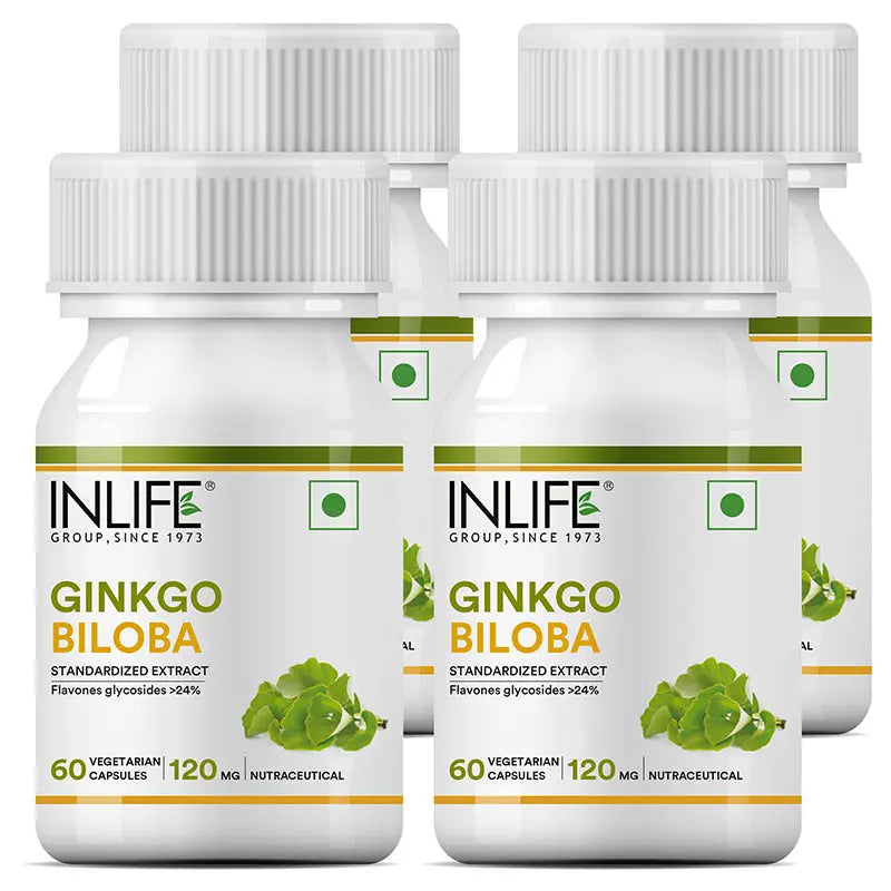 Inlife Ginkgo Biloba Supplement, 120mg - 60 Veg. Capsules