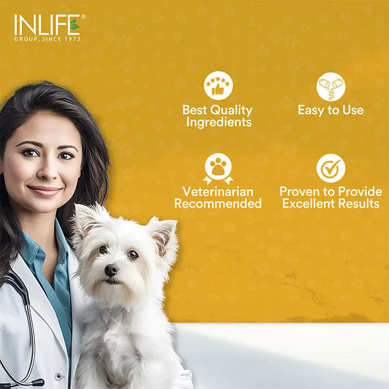 Inlife Curcumin with Piperine for Dogs Cats Pets | 95% Curcuminoids for Immunity, Ease Inflammation - 60 Veg. Capsules