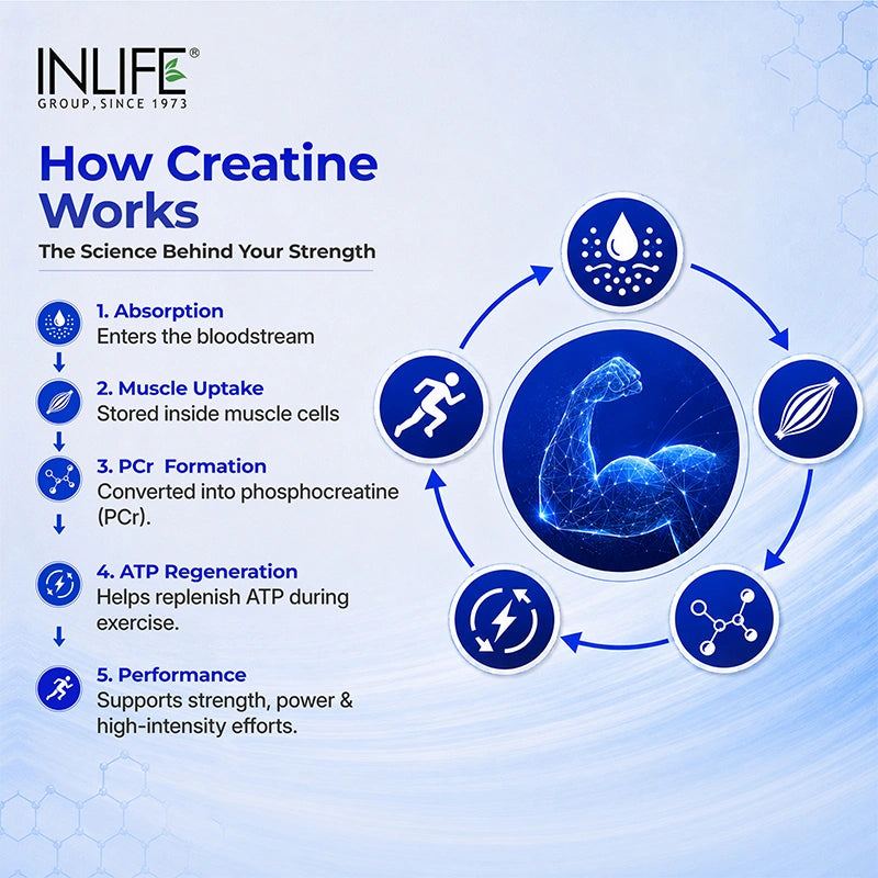 Inlife Micronized Creatine Monohydrate Powder, 3 g  Per Serving
