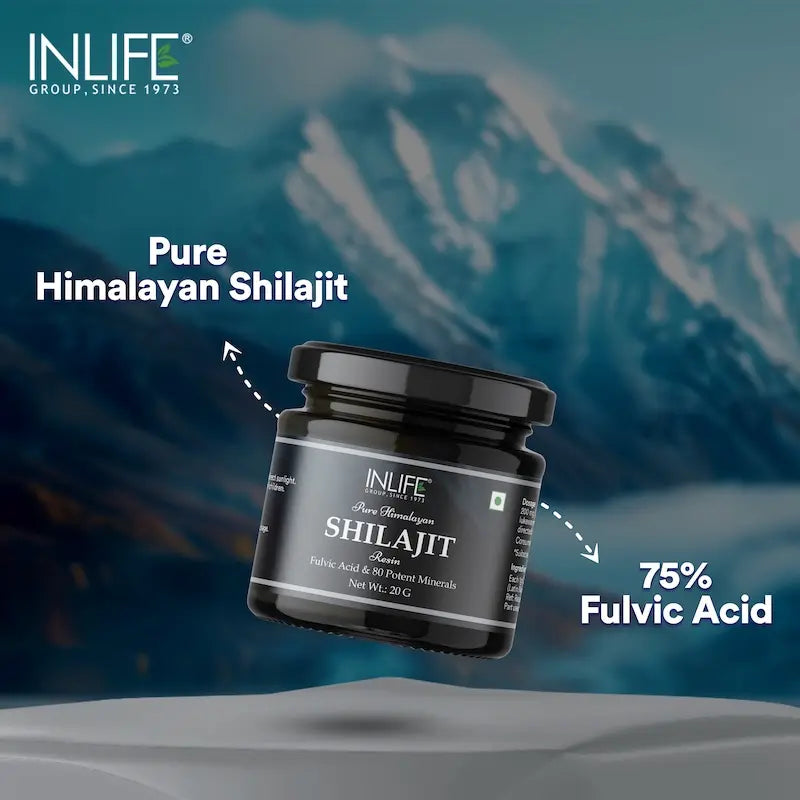 Inlife Pure Himalayan Shilajit Resin Supplement | 20g