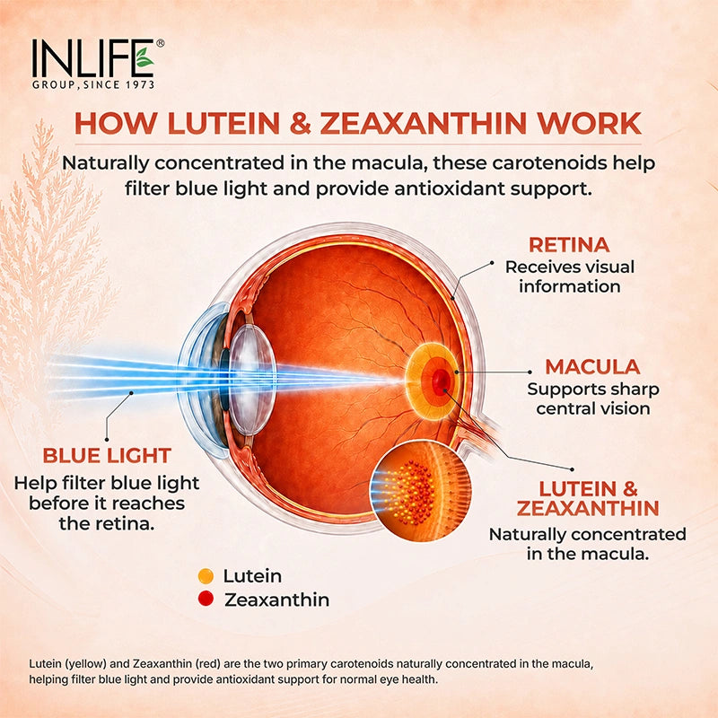 Inlife Lutein Zeaxanthin liquid filled capsules how lutein works .image