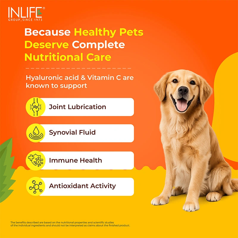 Inlife Pets collagen benefits .image extra-slide