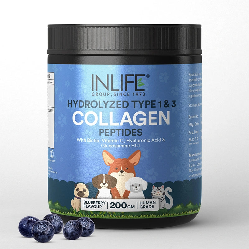 Inlife pets collagen blueberry front bottle .image