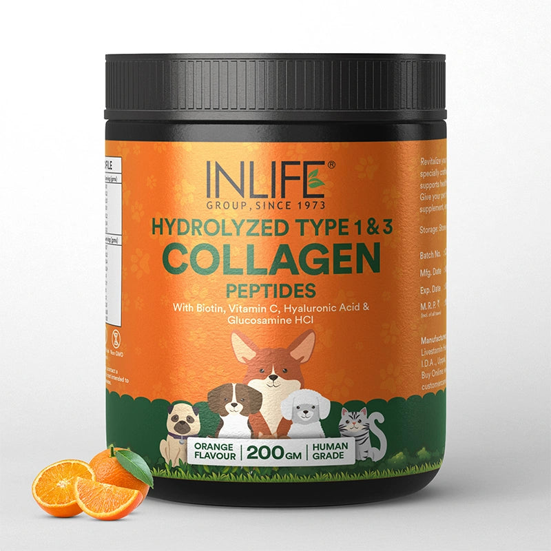 Inlife Pets collagen powder orange flavor front bottle .image