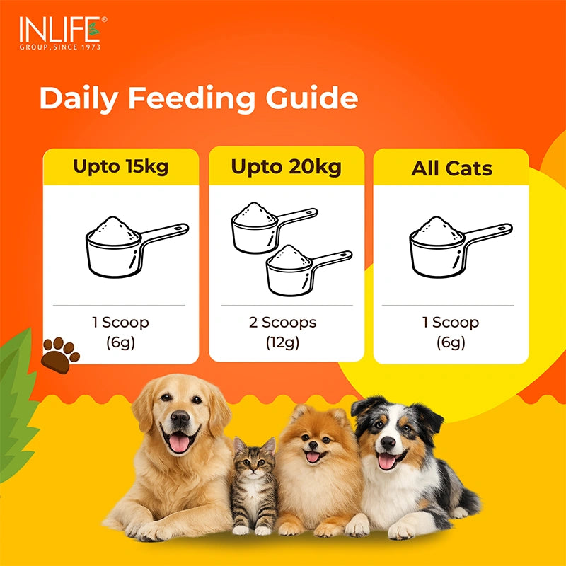 Inlife Pets collagen suggested usage .image