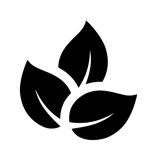 Image showing key ingredients of Inlife Magnesium Glycinate Forte, featuring magnesium glycinate for high absorption and supporting excipients for tablet stability and purity.