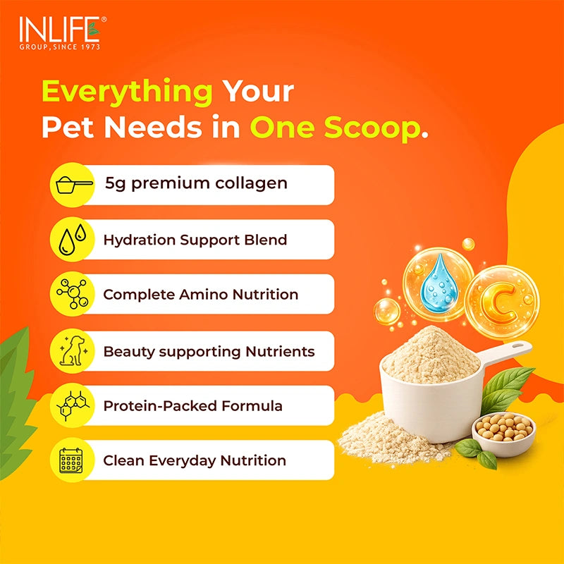 Inlife Hydrolyzed Type 1 & 3 Collagen Peptides Supplement for Pets