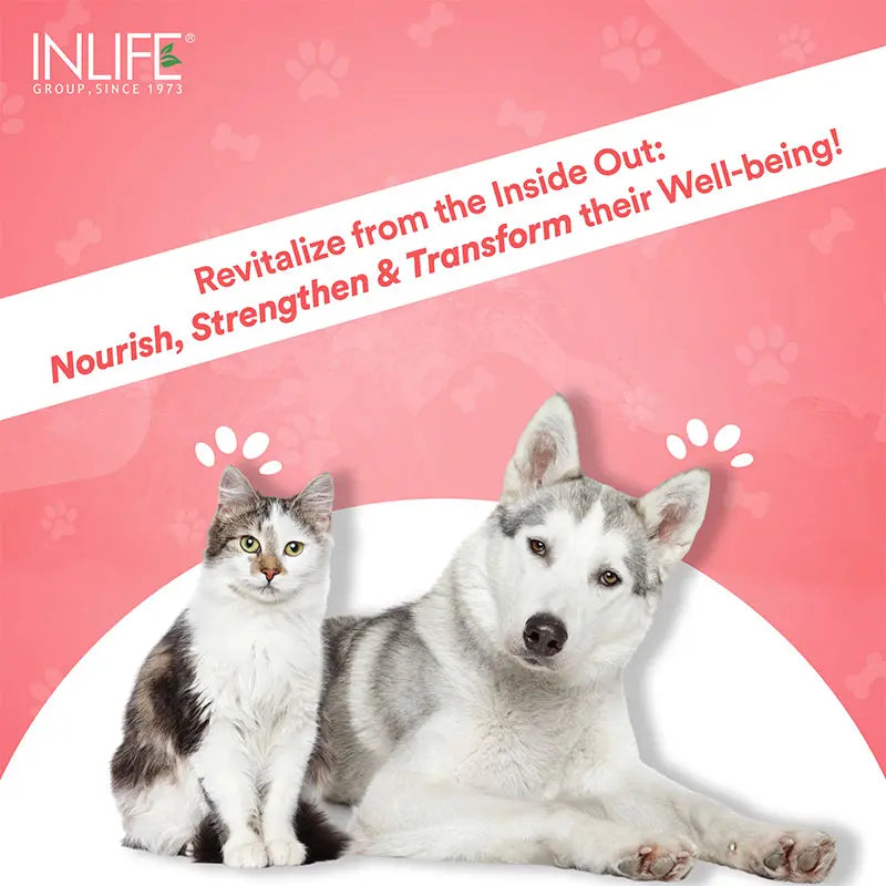 Inlife Hydrolyzed Type 1 & 3 Collagen Peptides Supplement for Pets  | Available in 3 flavors: