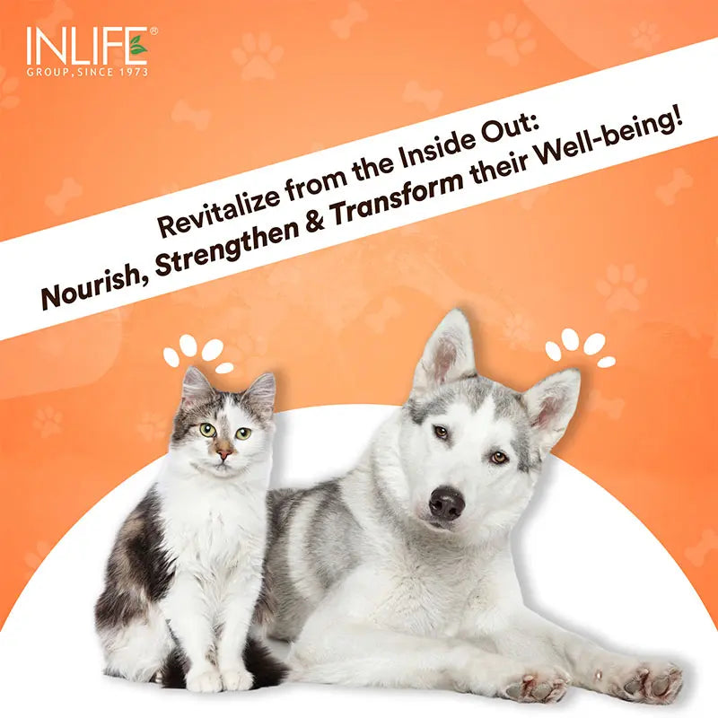 Inlife Hydrolyzed Type 1 & 3 Collagen Peptides Supplement for Pets  | Available in 3 flavors: