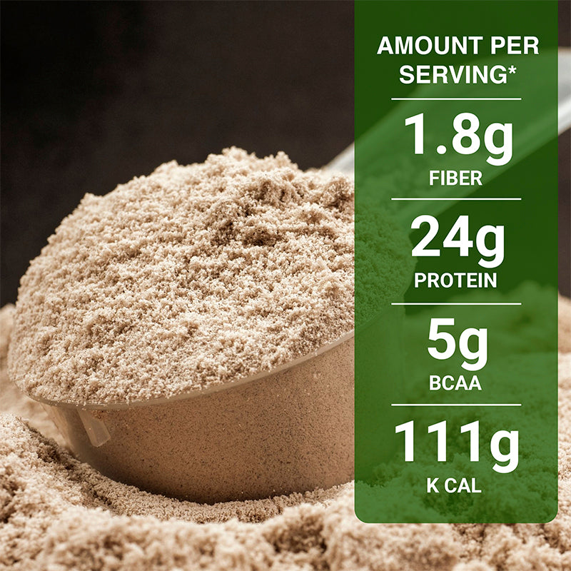 INLIFE Vegan Plant Based Protein Powder, 24g Protein