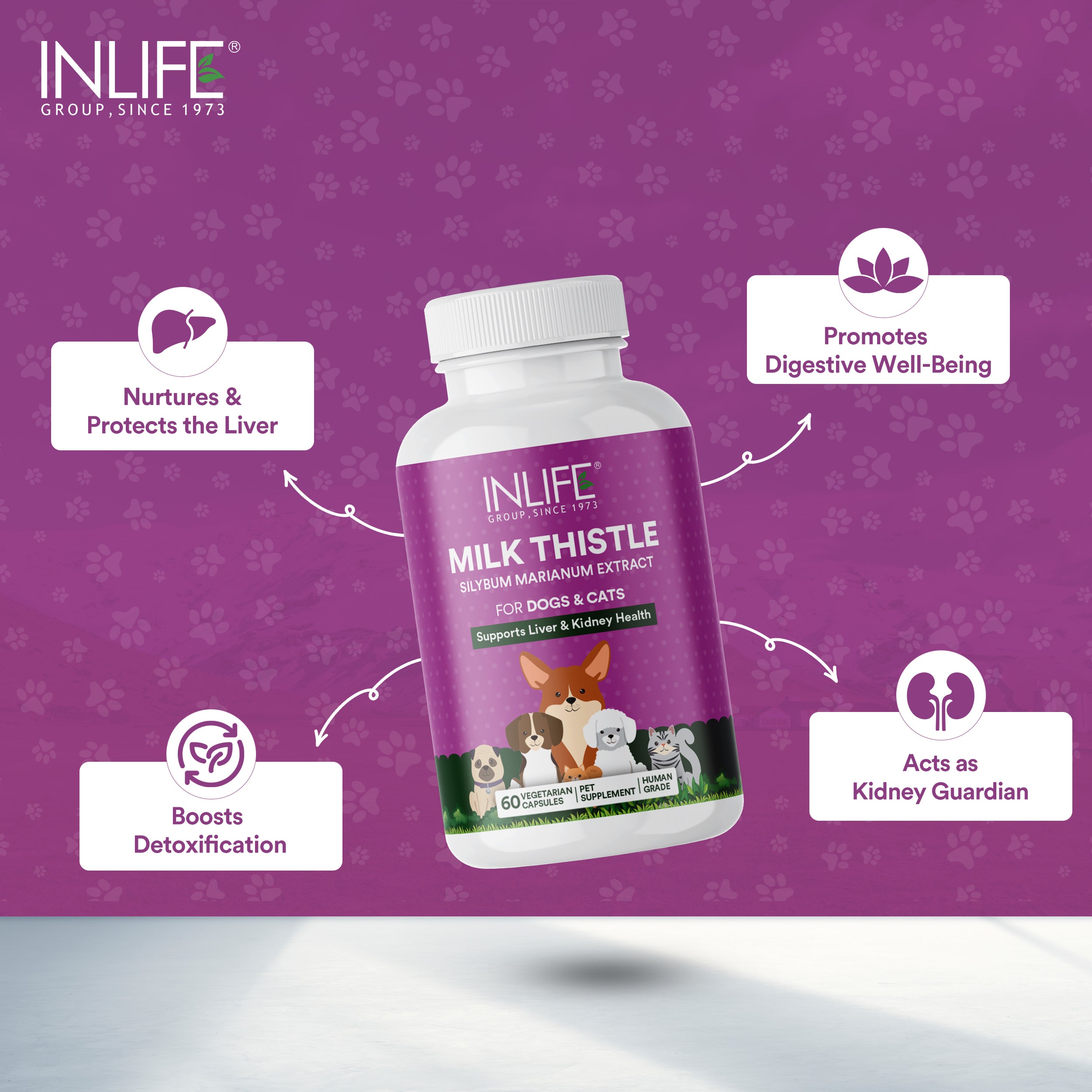 INLIFE Milk Thistle Capsules for Dogs & Cats | Liver Detox Supplement & Kidney Health, 400mg - 60 Vegetarian Capsules