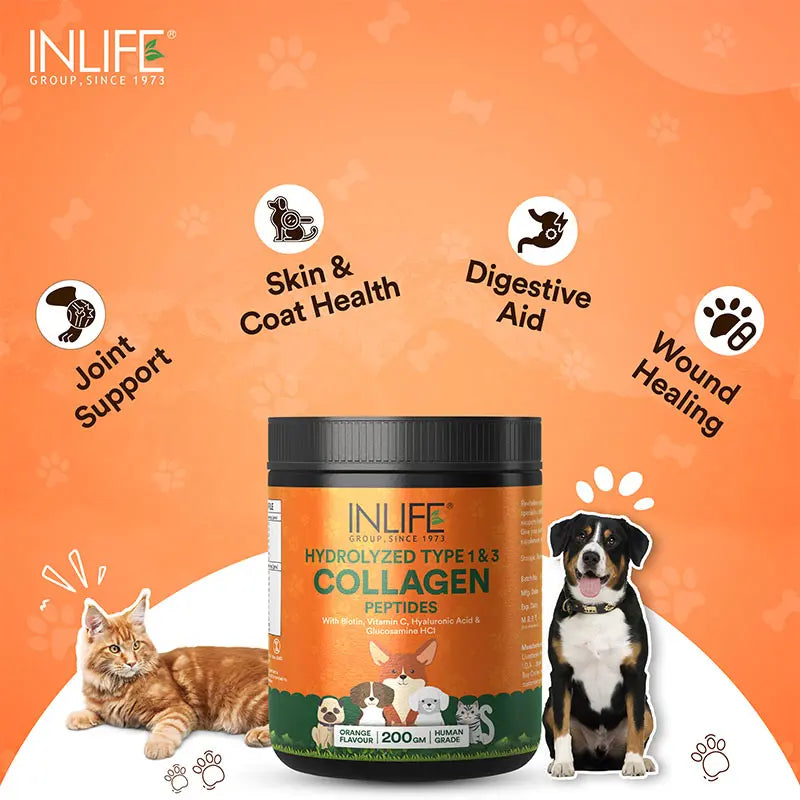 Inlife Hydrolyzed Type 1 & 3 Collagen Peptides Supplement for Pets  | Available in 3 flavors: